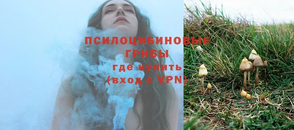 прущая мука Богданович
