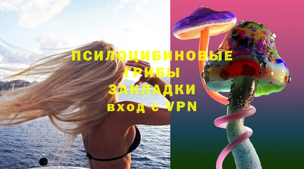 мяу мяу мука Богородицк