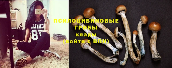 PSILOCYBIN Богородск