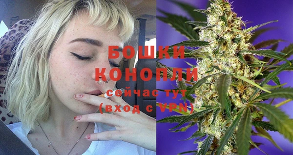 PSILOCYBIN Богородск